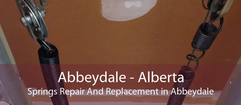 Abbeydale - Alberta Springs Repair And Replacement in Abbeydale