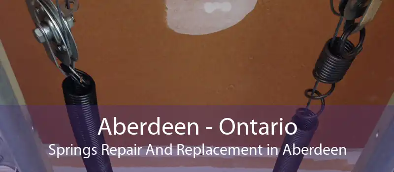 Aberdeen - Ontario Springs Repair And Replacement in Aberdeen