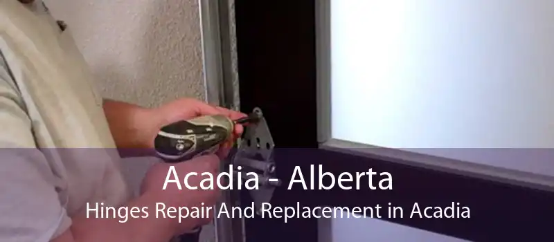 Acadia - Alberta Hinges Repair And Replacement in Acadia