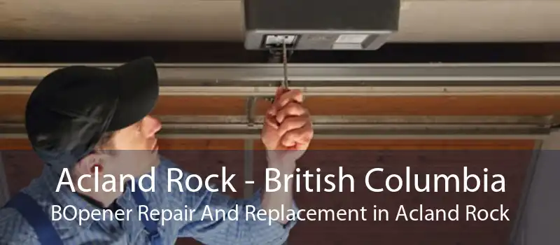 Acland Rock - British Columbia BOpener Repair And Replacement in Acland Rock