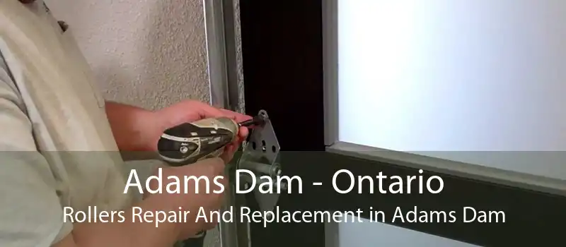 Adams Dam - Ontario Rollers Repair And Replacement in Adams Dam