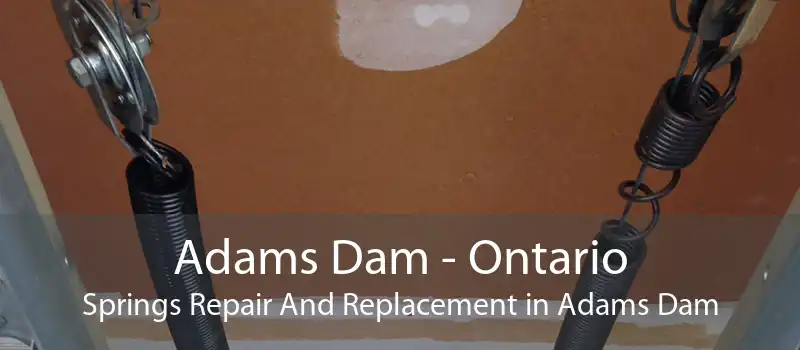 Adams Dam - Ontario Springs Repair And Replacement in Adams Dam