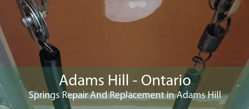 Adams Hill - Ontario Springs Repair And Replacement in Adams Hill