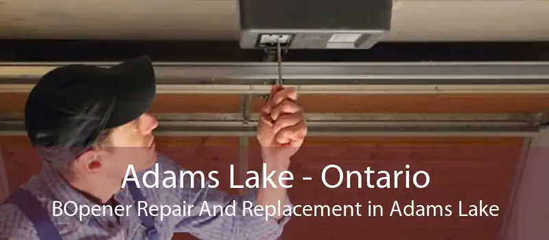 Adams Lake - Ontario BOpener Repair And Replacement in Adams Lake