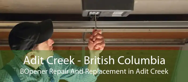 Adit Creek - British Columbia BOpener Repair And Replacement in Adit Creek