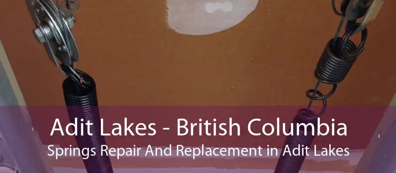 Adit Lakes - British Columbia Springs Repair And Replacement in Adit Lakes