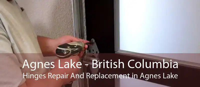 Agnes Lake - British Columbia Hinges Repair And Replacement in Agnes Lake