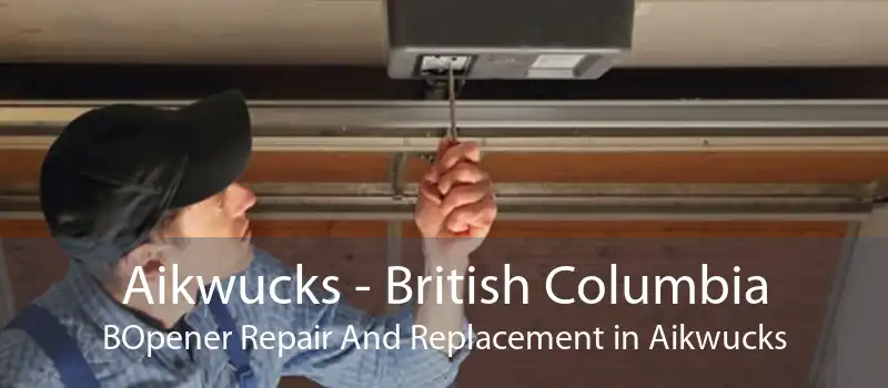 Aikwucks - British Columbia BOpener Repair And Replacement in Aikwucks