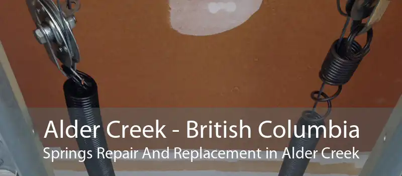 Alder Creek - British Columbia Springs Repair And Replacement in Alder Creek