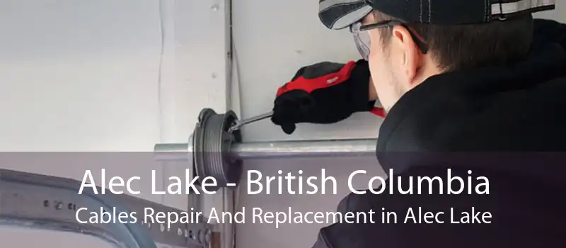 Alec Lake - British Columbia Cables Repair And Replacement in Alec Lake