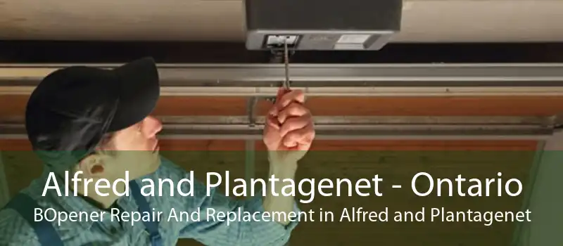 Alfred and Plantagenet - Ontario BOpener Repair And Replacement in Alfred and Plantagenet