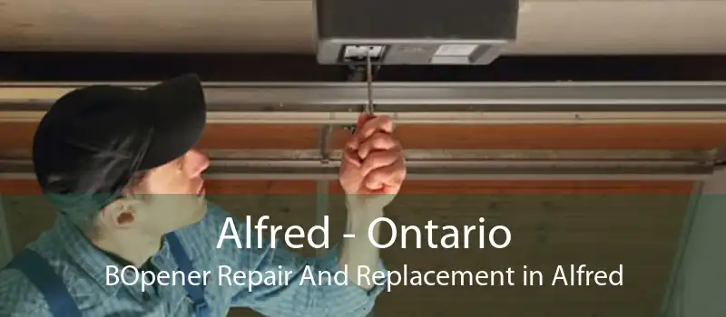 Alfred - Ontario BOpener Repair And Replacement in Alfred