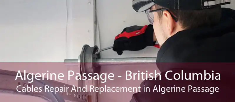 Algerine Passage - British Columbia Cables Repair And Replacement in Algerine Passage