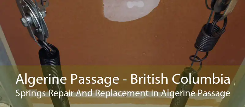 Algerine Passage - British Columbia Springs Repair And Replacement in Algerine Passage