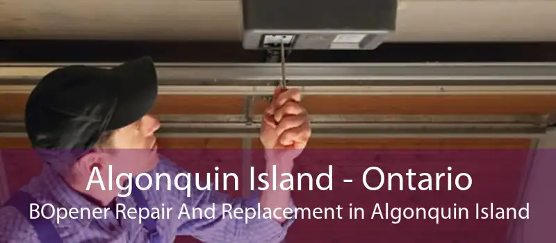 Algonquin Island - Ontario BOpener Repair And Replacement in Algonquin Island