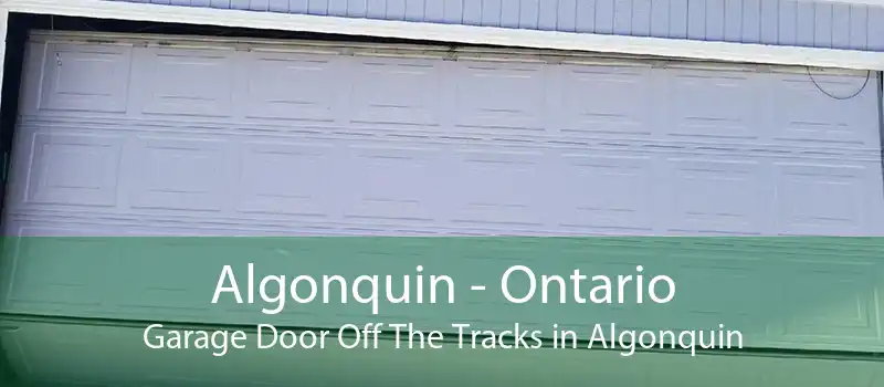 Algonquin - Ontario Garage Door Off The Tracks in Algonquin