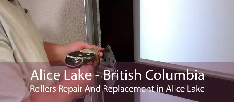 Alice Lake - British Columbia Rollers Repair And Replacement in Alice Lake