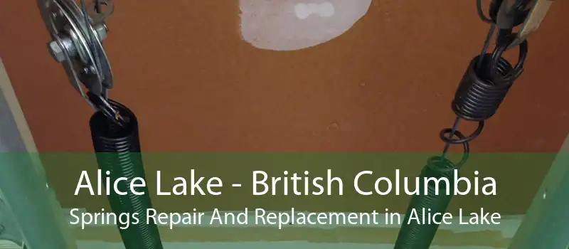 Alice Lake - British Columbia Springs Repair And Replacement in Alice Lake