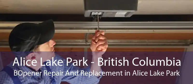 Alice Lake Park - British Columbia BOpener Repair And Replacement in Alice Lake Park