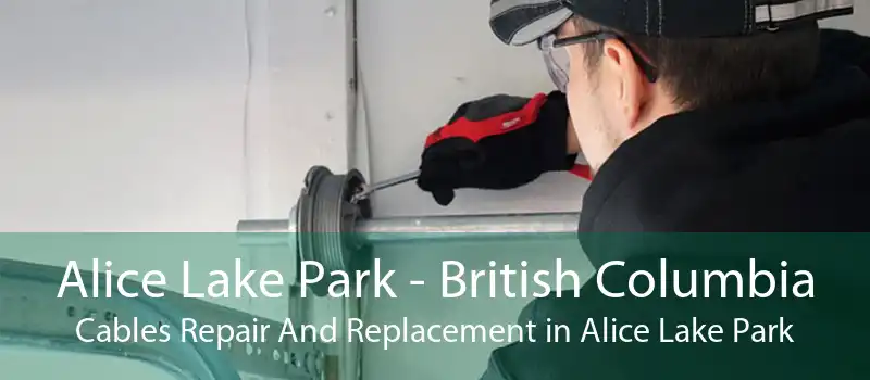 Alice Lake Park - British Columbia Cables Repair And Replacement in Alice Lake Park