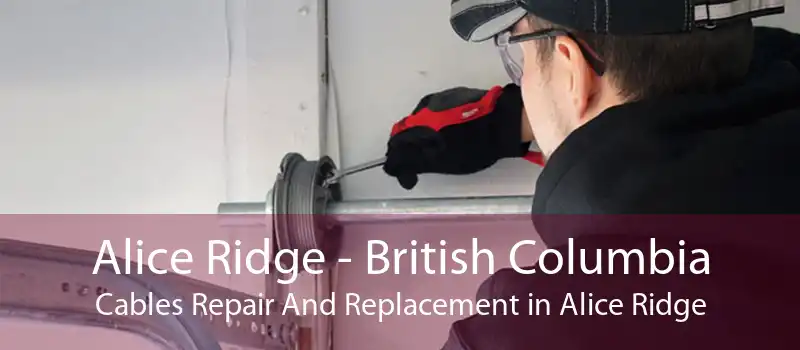 Alice Ridge - British Columbia Cables Repair And Replacement in Alice Ridge