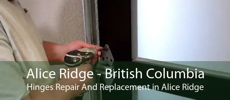 Alice Ridge - British Columbia Hinges Repair And Replacement in Alice Ridge