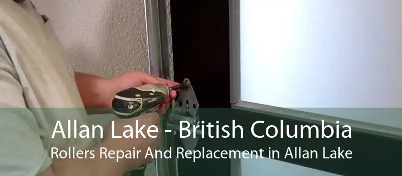 Allan Lake - British Columbia Rollers Repair And Replacement in Allan Lake