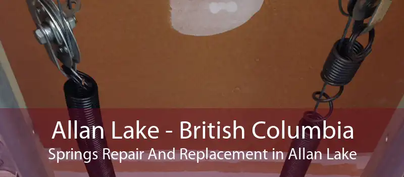 Allan Lake - British Columbia Springs Repair And Replacement in Allan Lake