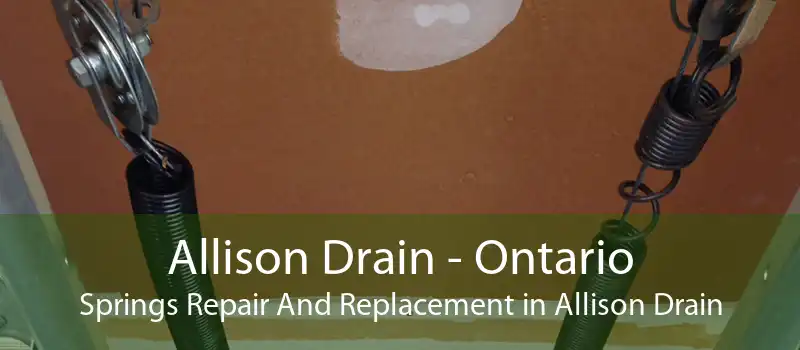 Allison Drain - Ontario Springs Repair And Replacement in Allison Drain