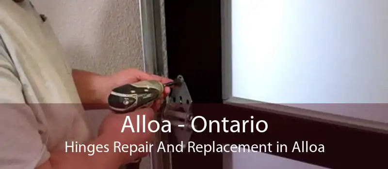 Alloa - Ontario Hinges Repair And Replacement in Alloa