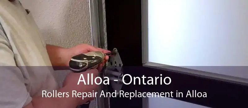 Alloa - Ontario Rollers Repair And Replacement in Alloa