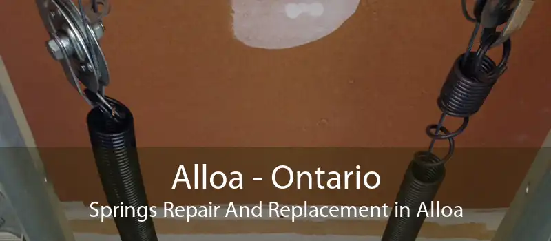 Alloa - Ontario Springs Repair And Replacement in Alloa