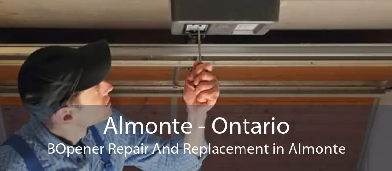 Almonte - Ontario BOpener Repair And Replacement in Almonte