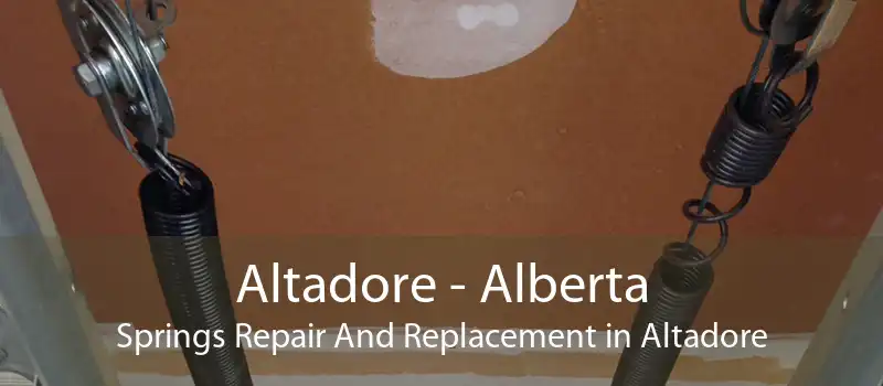 Altadore - Alberta Springs Repair And Replacement in Altadore