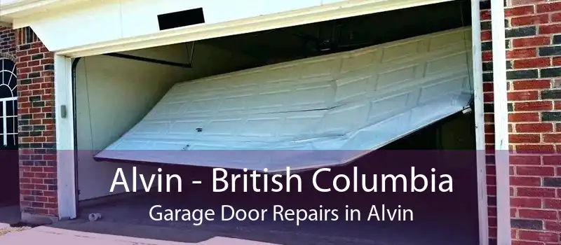 Alvin - British Columbia Garage Door Repairs in Alvin