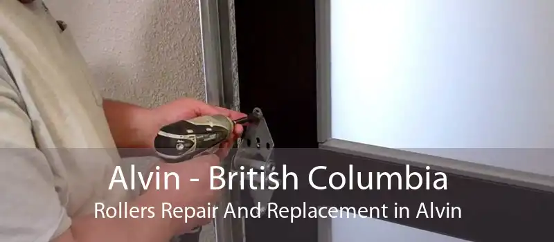 Alvin - British Columbia Rollers Repair And Replacement in Alvin