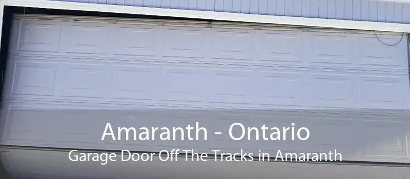 Amaranth - Ontario Garage Door Off The Tracks in Amaranth
