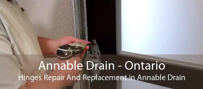 Annable Drain - Ontario Hinges Repair And Replacement in Annable Drain