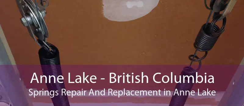Anne Lake - British Columbia Springs Repair And Replacement in Anne Lake