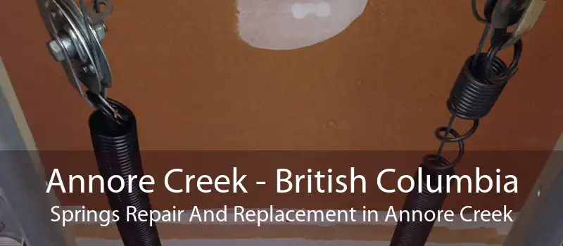 Annore Creek - British Columbia Springs Repair And Replacement in Annore Creek