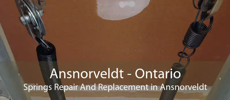Ansnorveldt - Ontario Springs Repair And Replacement in Ansnorveldt