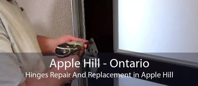 Apple Hill - Ontario Hinges Repair And Replacement in Apple Hill