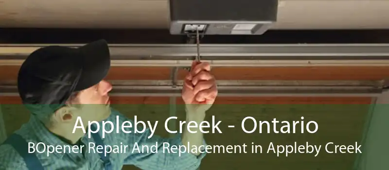 Appleby Creek - Ontario BOpener Repair And Replacement in Appleby Creek