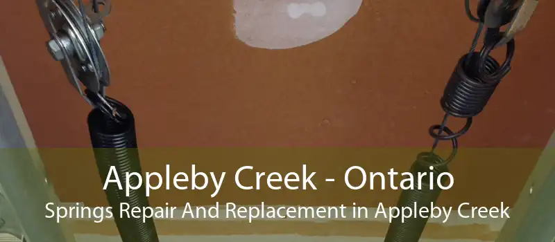 Appleby Creek - Ontario Springs Repair And Replacement in Appleby Creek