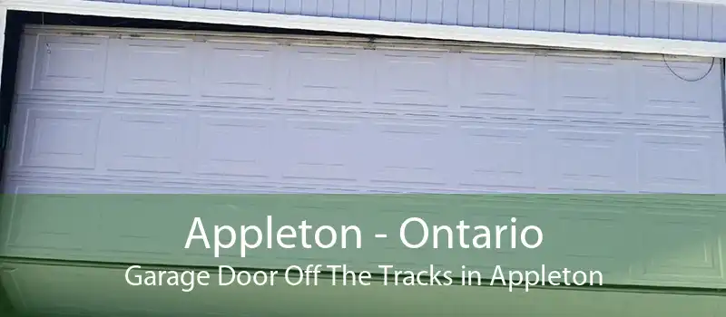 Appleton - Ontario Garage Door Off The Tracks in Appleton