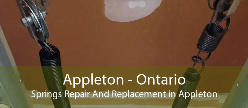 Appleton - Ontario Springs Repair And Replacement in Appleton