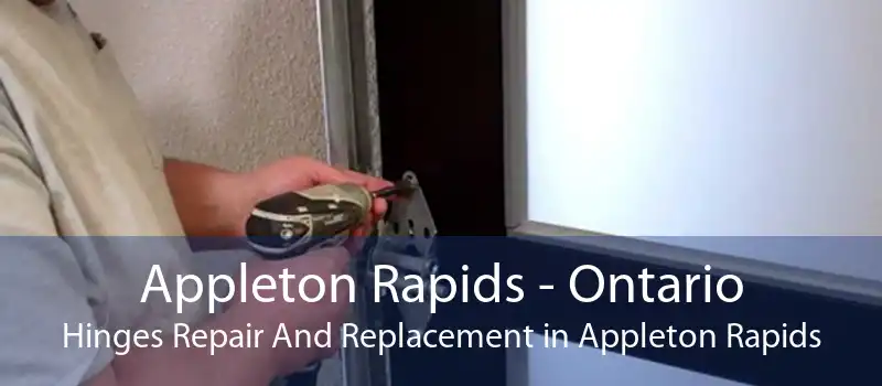 Appleton Rapids - Ontario Hinges Repair And Replacement in Appleton Rapids