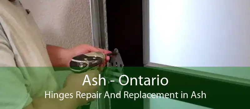 Ash - Ontario Hinges Repair And Replacement in Ash