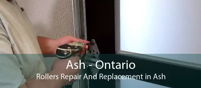 Ash - Ontario Rollers Repair And Replacement in Ash
