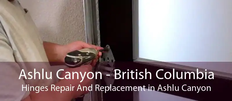 Ashlu Canyon - British Columbia Hinges Repair And Replacement in Ashlu Canyon